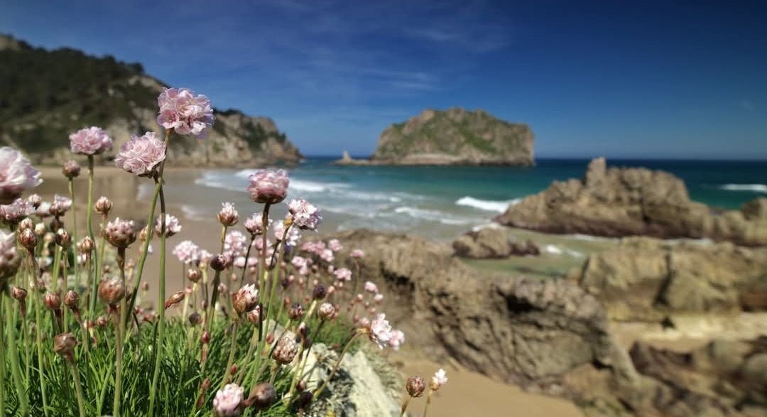 Tu aportación para las Fiestas de La Franca 2025